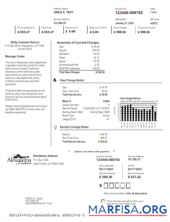 Realistic USA ALEXANDRIA utility bill Word and PDF template